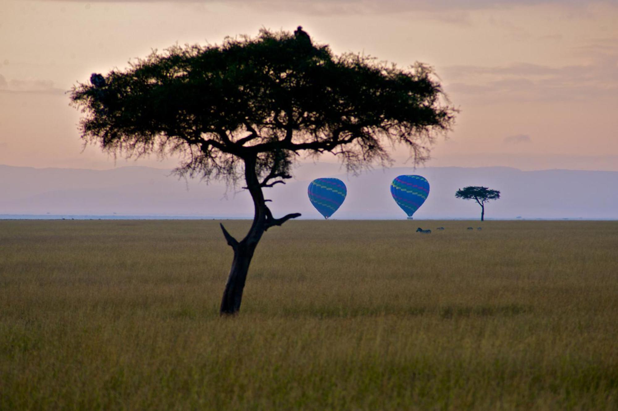 Mara Elatia Camp Villa Maasai Mara Eksteriør bilde
